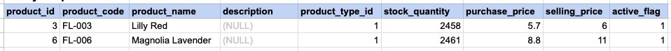 Example 2 Query Output